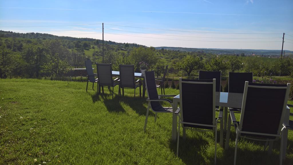 Apartments Metzingen Panoramablick Esterno foto